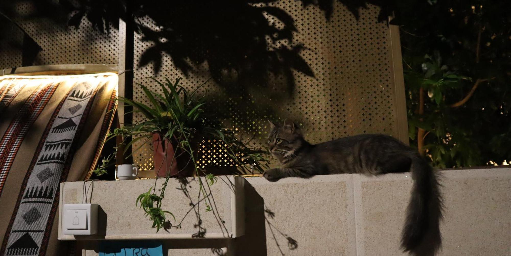Extra Traveller Hostel Aqaba Luaran gambar